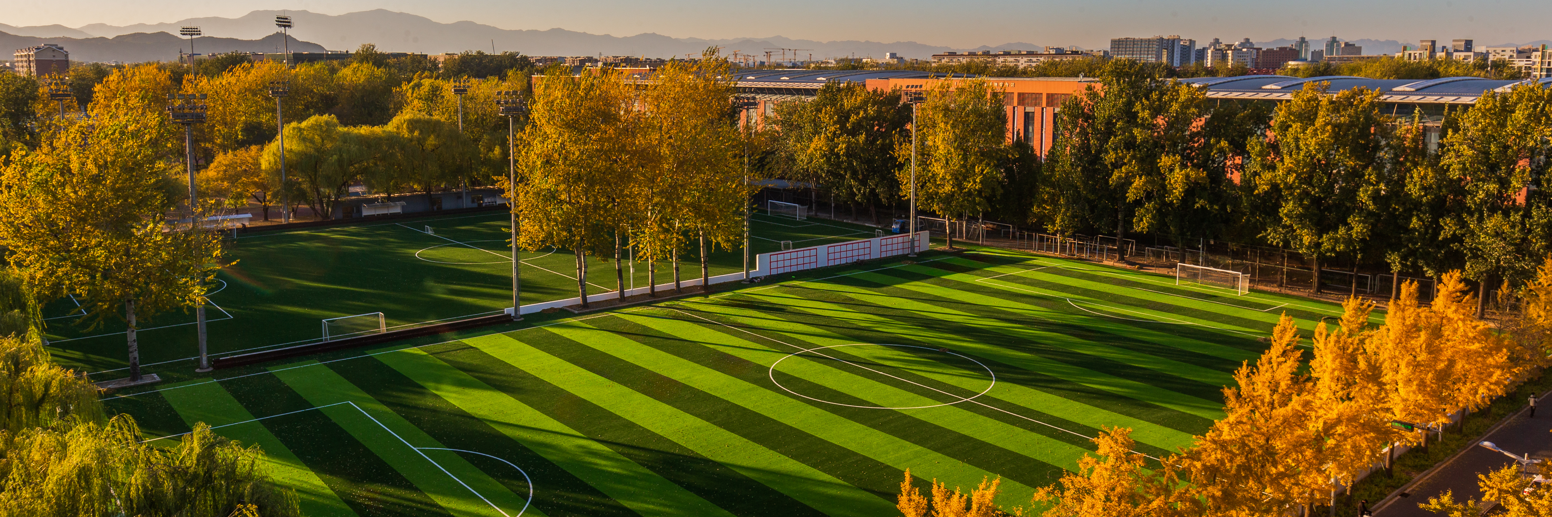 17fafcf6af424e20881245e8be54593c