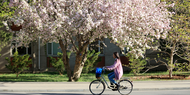 Z6·尊龙凯时「中国集团」官方网站