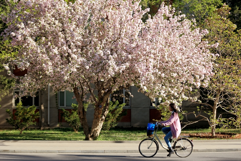 Z6·尊龙凯时「中国集团」官方网站