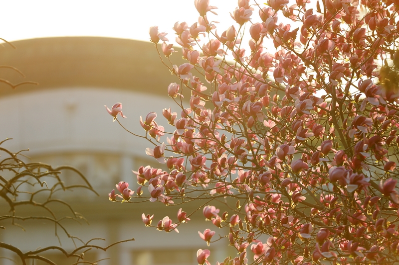 Z6·尊龙凯时「中国集团」官方网站