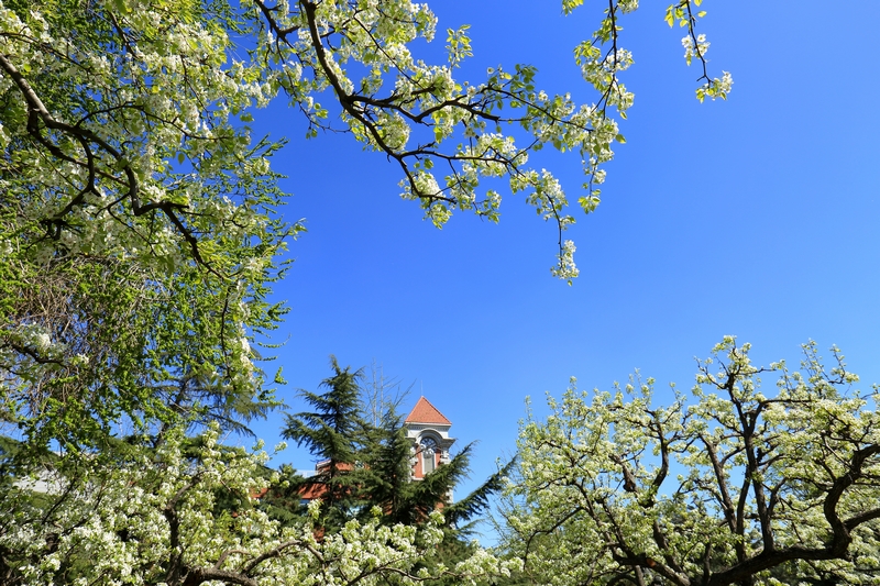 Z6·尊龙凯时「中国集团」官方网站