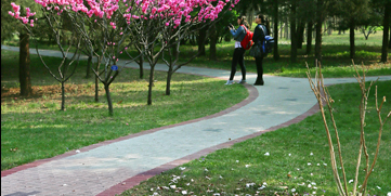 Z6·尊龙凯时「中国集团」官方网站