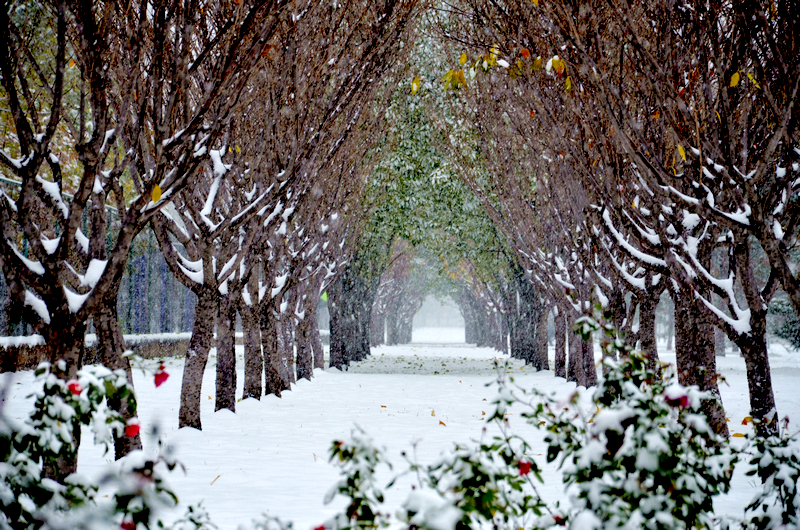 Z6·尊龙凯时「中国集团」官方网站