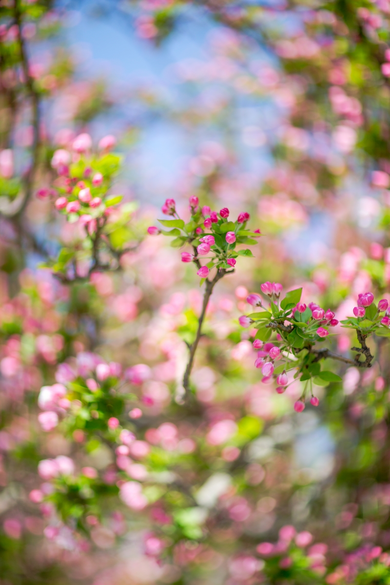 Z6·尊龙凯时「中国集团」官方网站