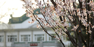 Z6·尊龙凯时「中国集团」官方网站