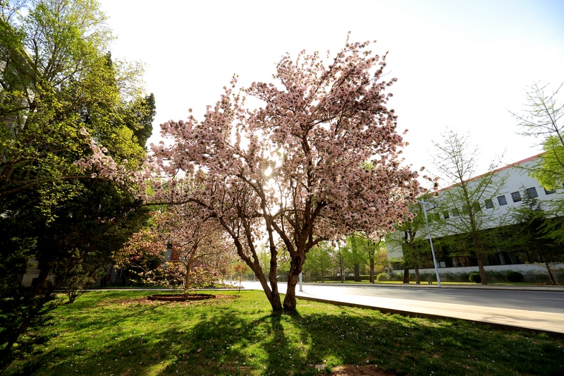 Z6·尊龙凯时「中国集团」官方网站