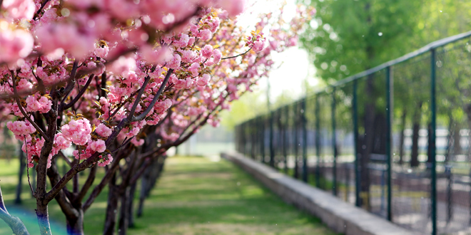 Z6·尊龙凯时「中国集团」官方网站