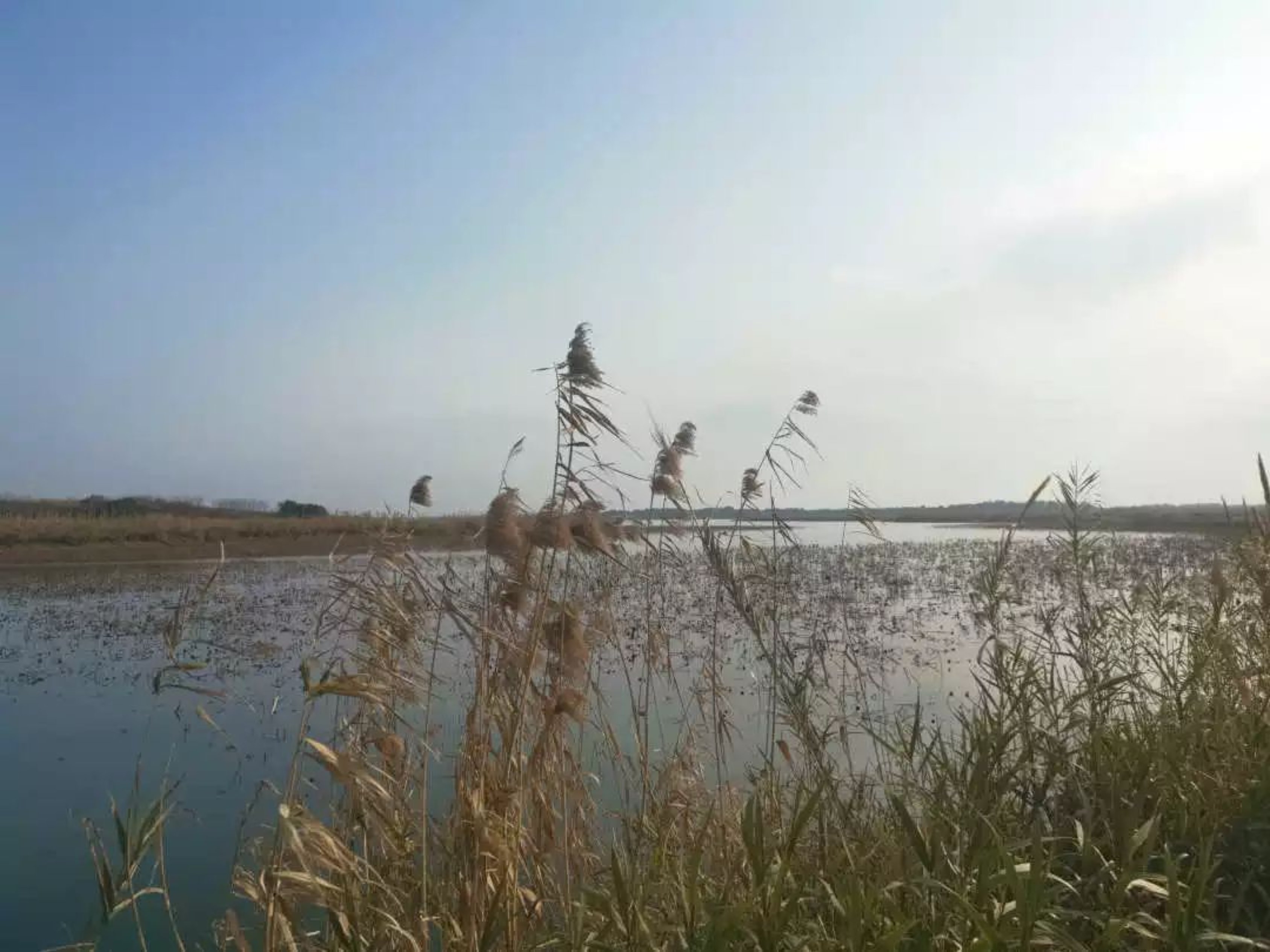 a7ac90471cc34b72acb970ac7e54de70