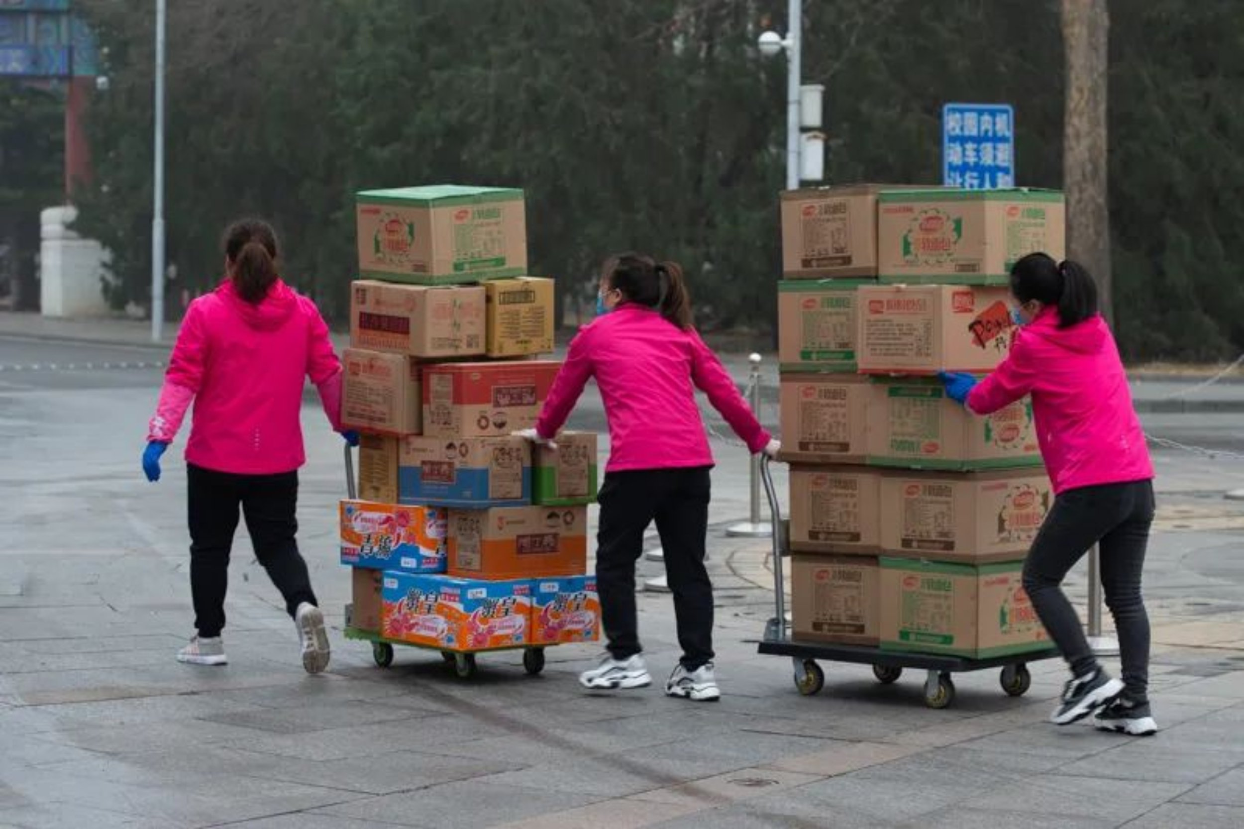 Z6·尊龙凯时「中国集团」官方网站