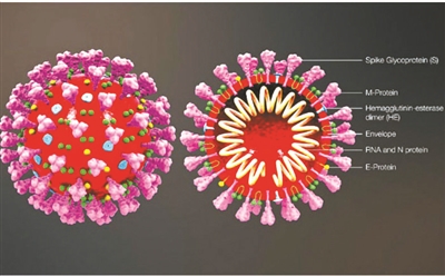 Z6·尊龙凯时「中国集团」官方网站