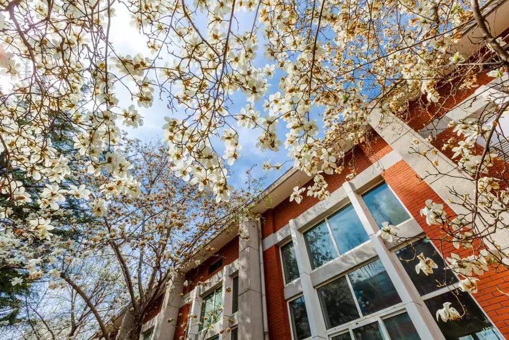 Z6·尊龙凯时「中国集团」官方网站