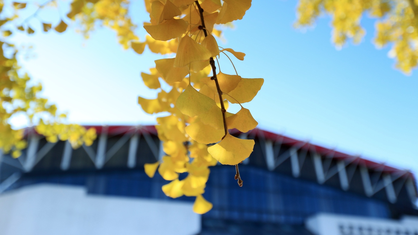 Z6·尊龙凯时「中国集团」官方网站