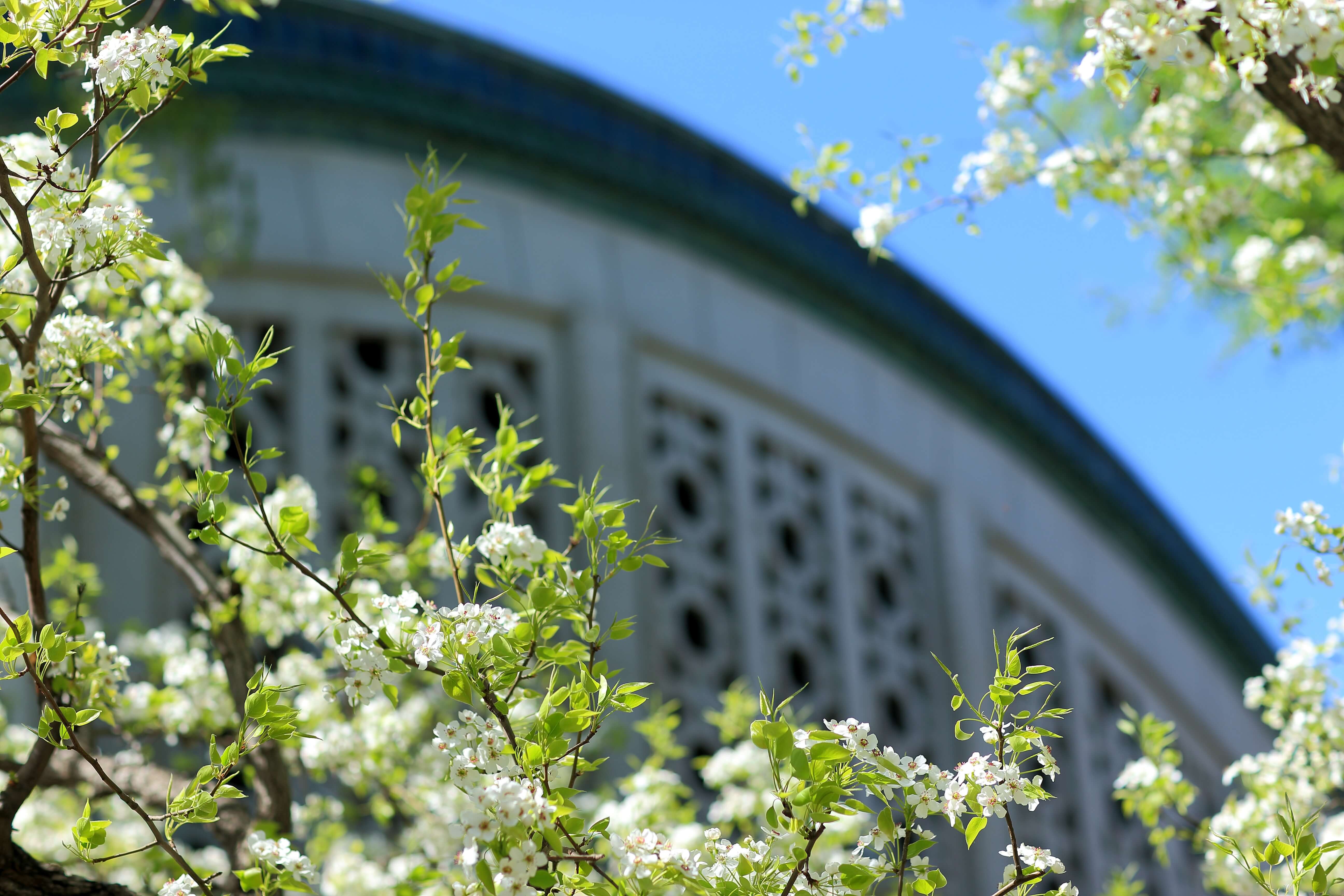 Z6·尊龙凯时「中国集团」官方网站