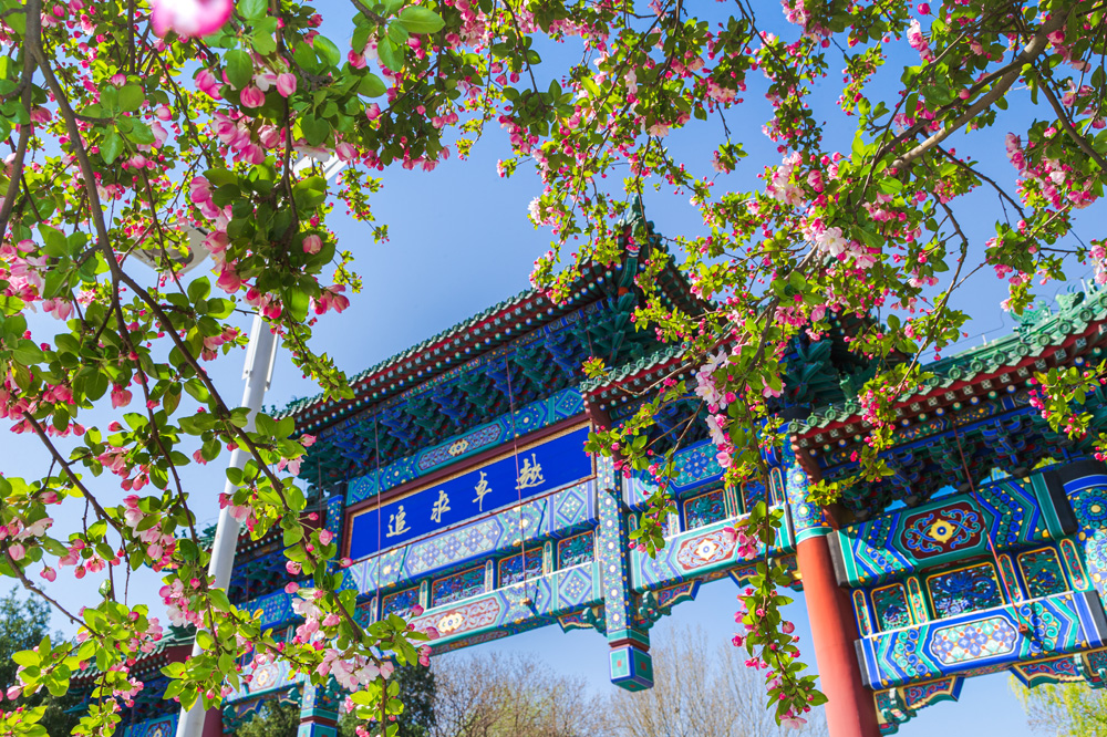 Z6·尊龙凯时「中国集团」官方网站