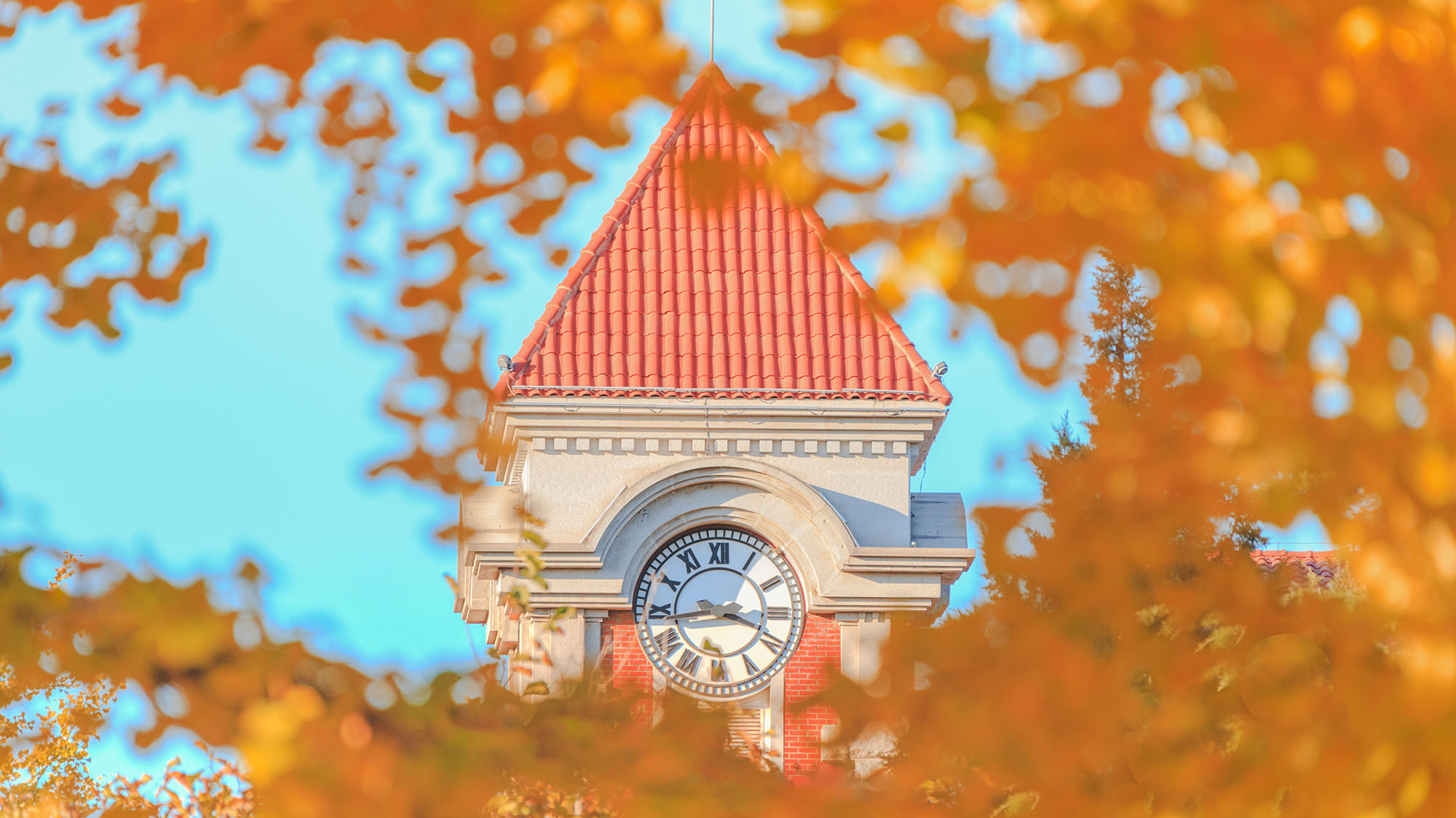 Z6·尊龙凯时「中国集团」官方网站