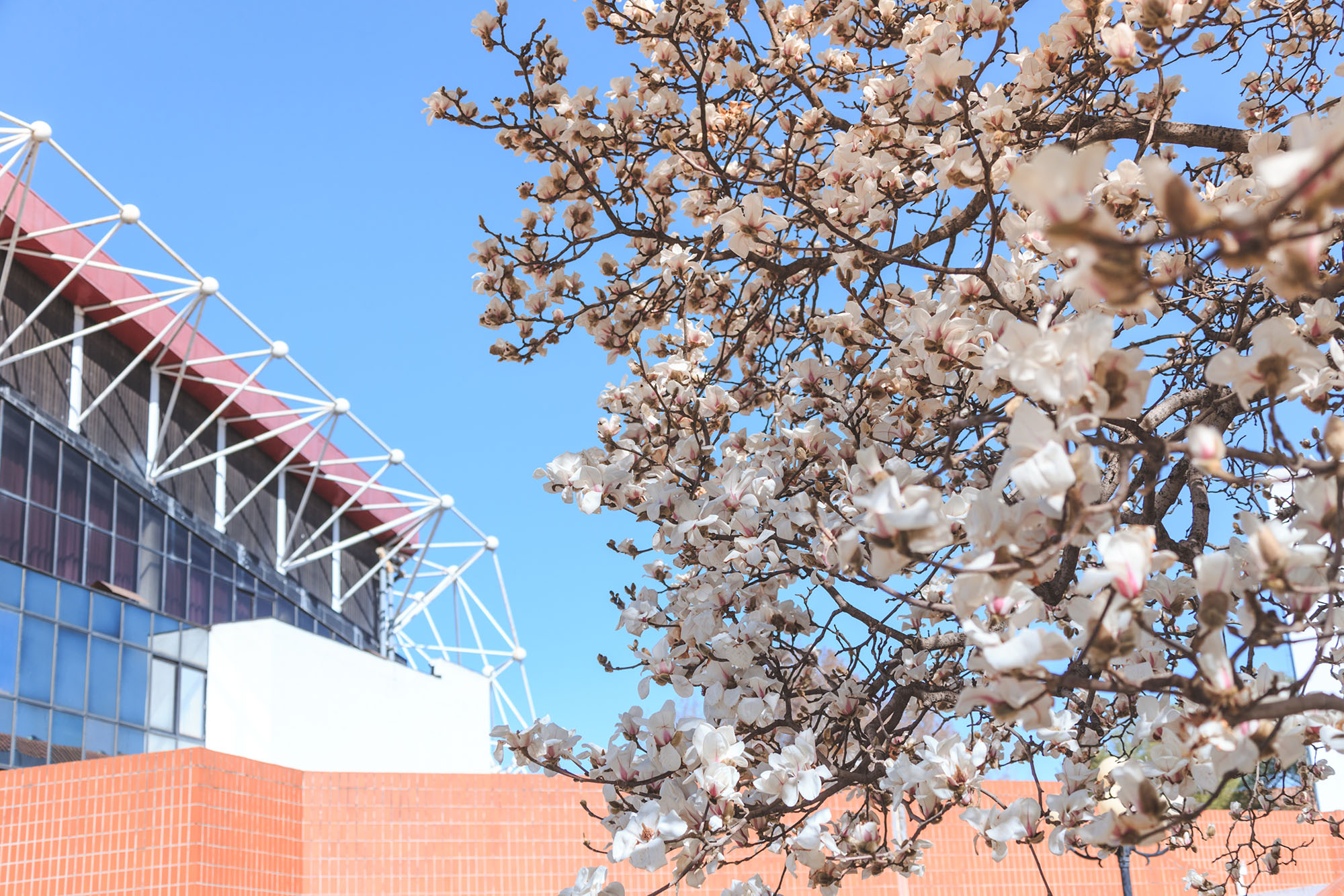 Z6·尊龙凯时「中国集团」官方网站