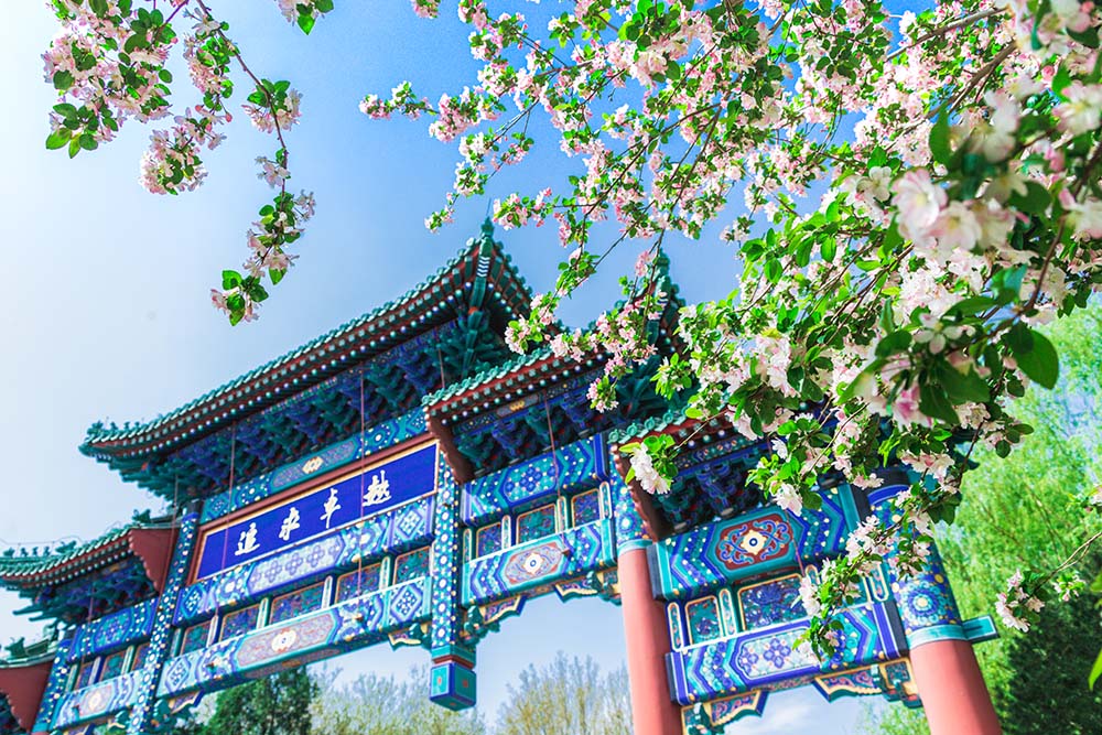 Z6·尊龙凯时「中国集团」官方网站